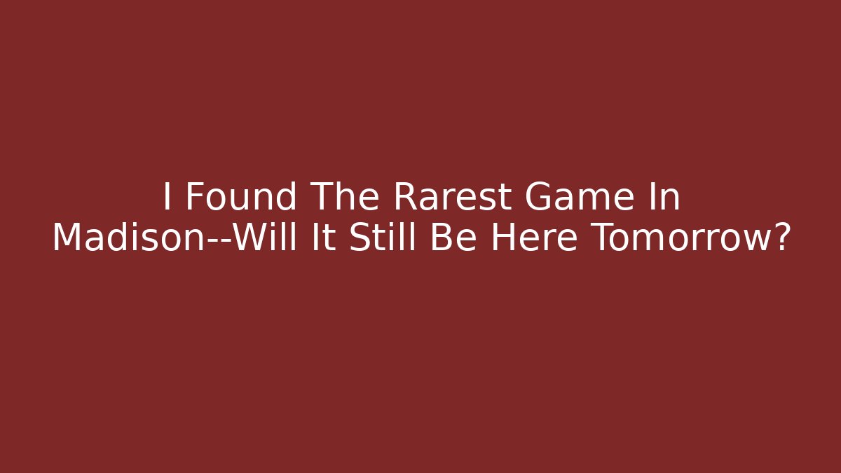 I Found The Rarest Game In Madison—Will It Still Be Here Tomorrow? - Critter Realm