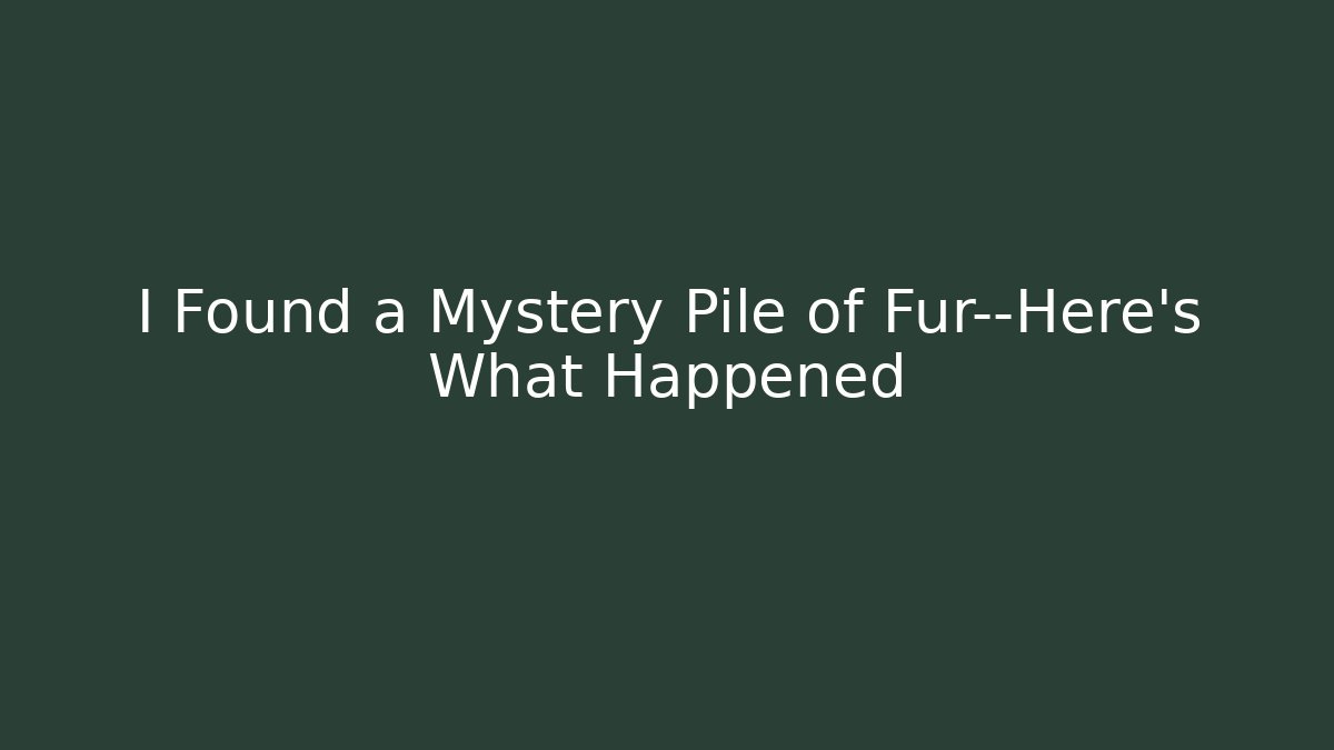 I Found a Mystery Pile of Fur—Here's What Happened