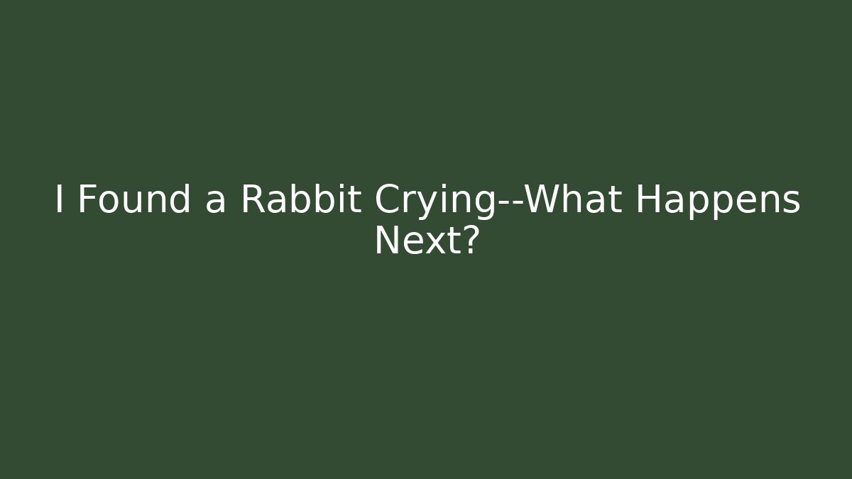 I Found a Rabbit Crying—What Happens Next?