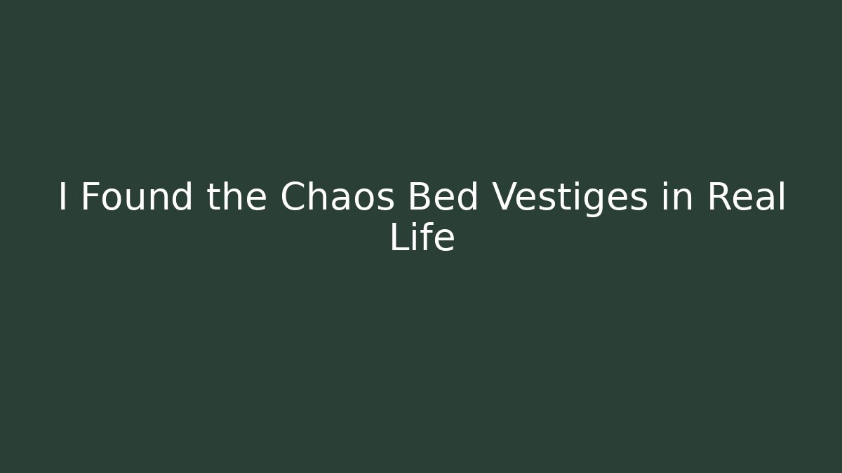 I Found the Chaos Bed Vestiges in Real Life