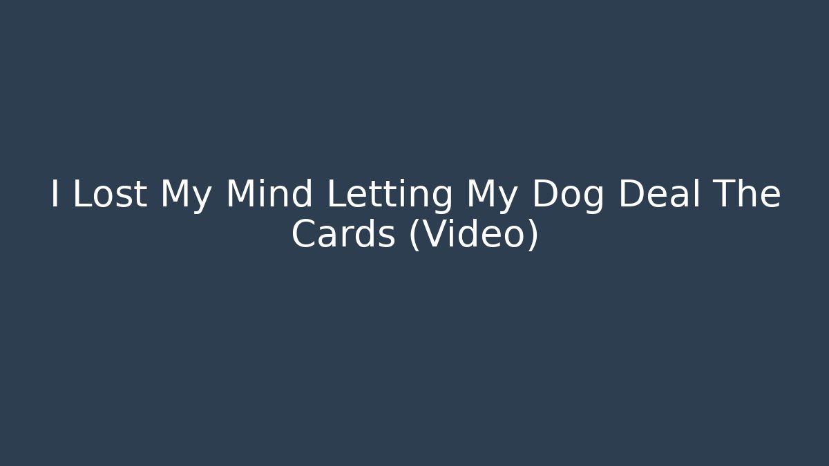 I Lost My Mind Letting My Dog Deal The Cards (Video)