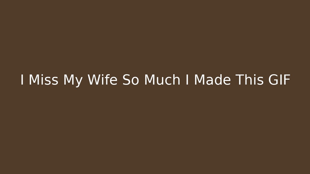 I Miss My Wife So Much I Made This GIF