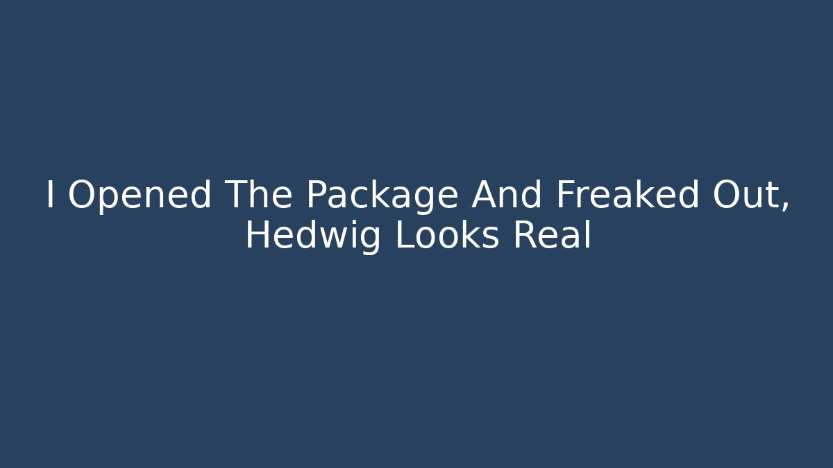 I Opened The Package And Freaked Out, Hedwig Looks Real