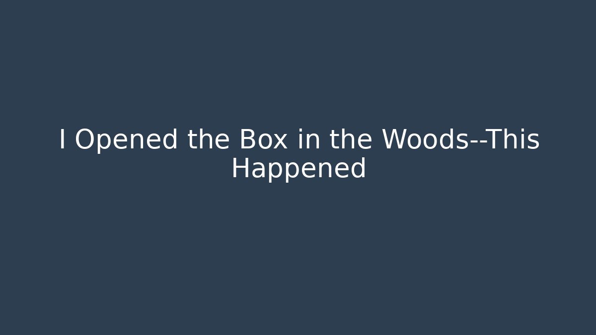 I Opened the Box in the Woods—This Happened