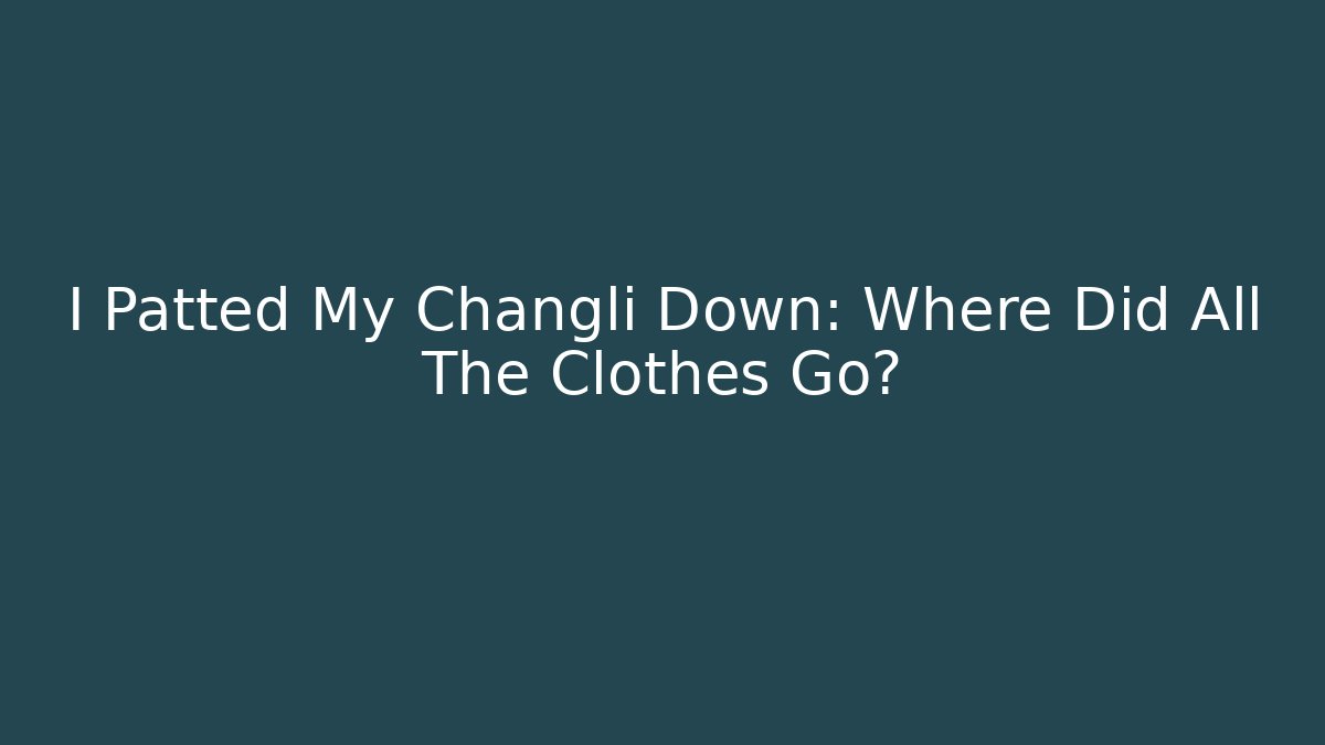 I Patted My Changli Down: Where Did All The Clothes Go?