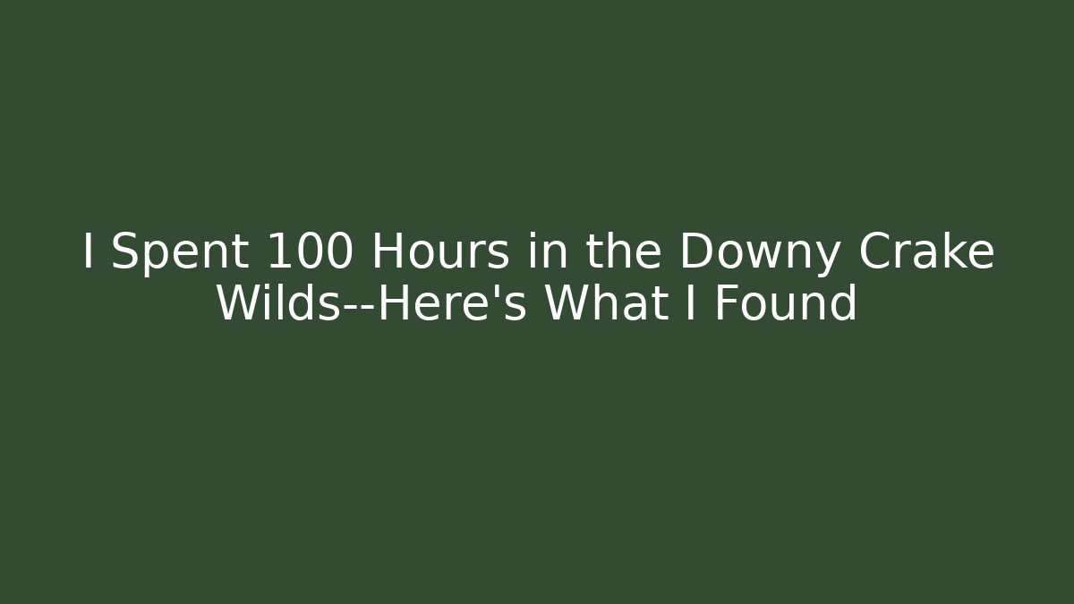 I Spent 100 Hours in the Downy Crake Wilds—Here’s What I Found