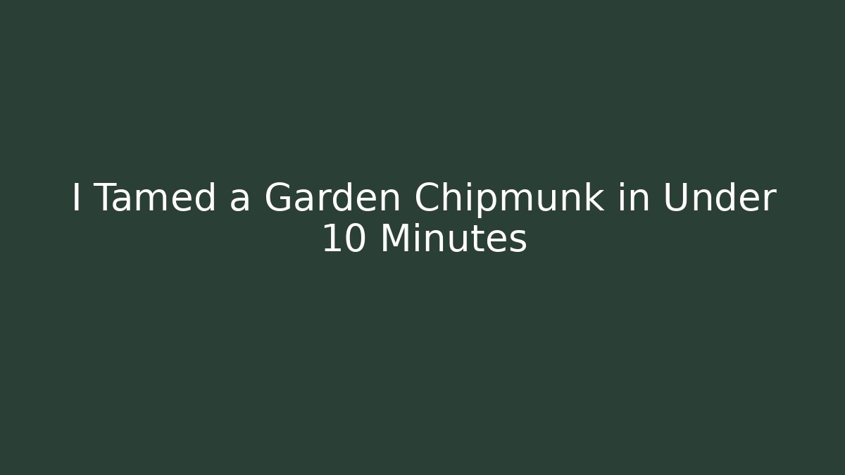 I Tamed a Garden Chipmunk in Under 10 Minutes