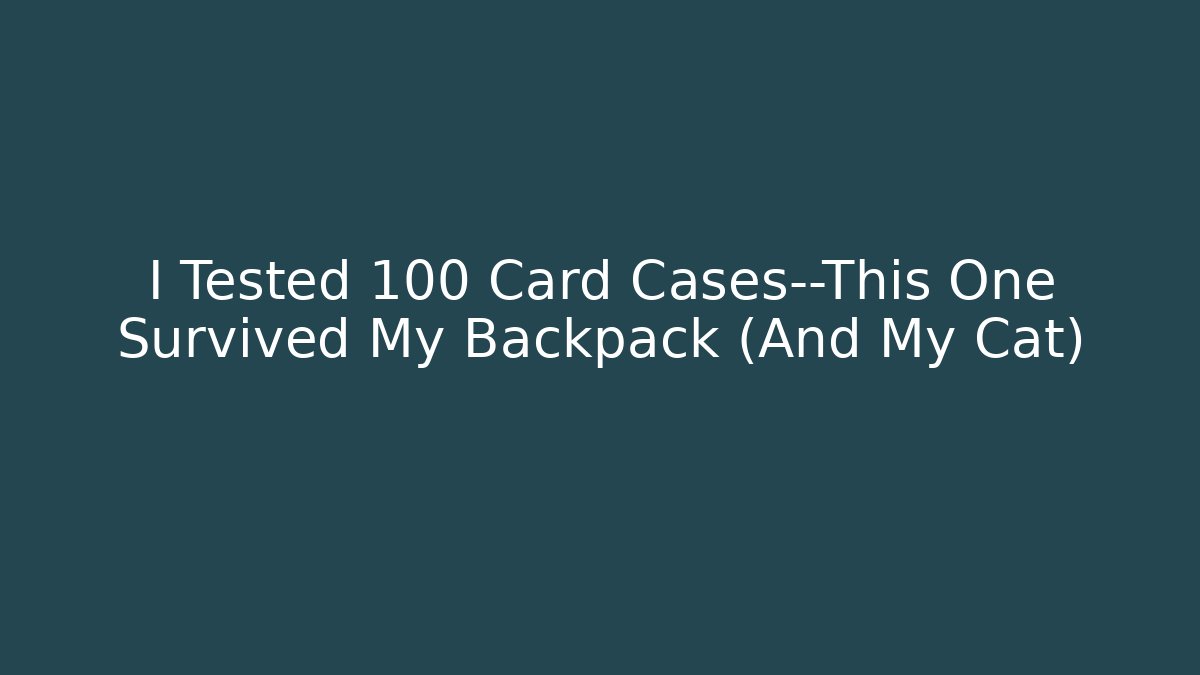 I Tested 100 Card Cases—This One Survived My Backpack (And My Cat)