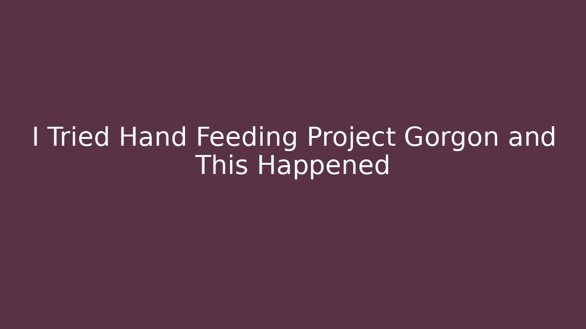 I Tried Hand Feeding Project Gorgon and This Happened