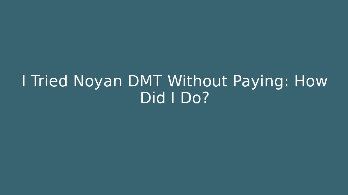 I Tried Noyan DMT Without Paying: How Did I Do?