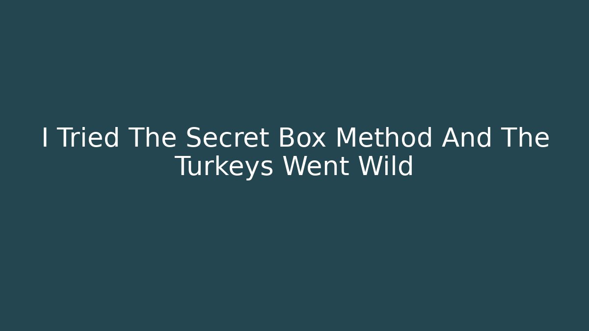 I Tried The Secret Box Method And The Turkeys Went Wild