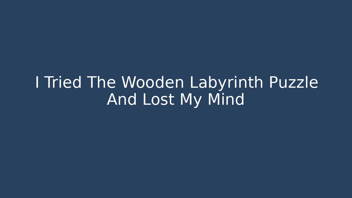I Tried The Wooden Labyrinth Puzzle And Lost My Mind