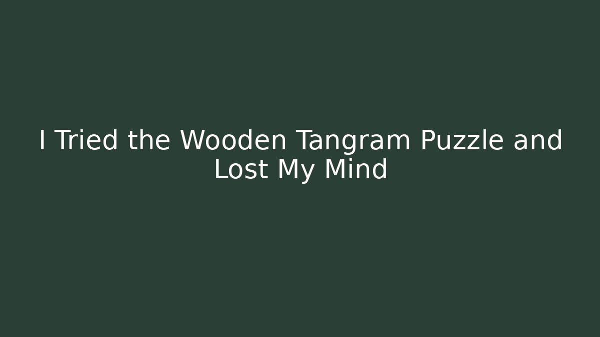 I Tried the Wooden Tangram Puzzle and Lost My Mind