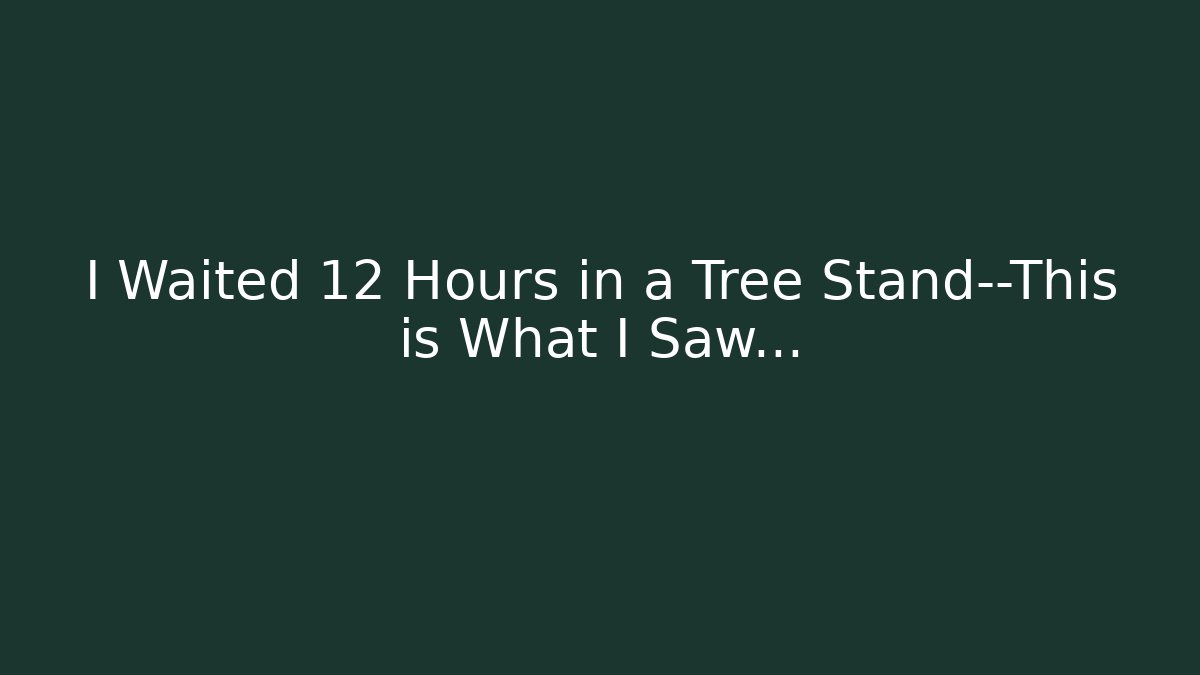 I Waited 12 Hours in a Tree Stand—This is What I Saw...