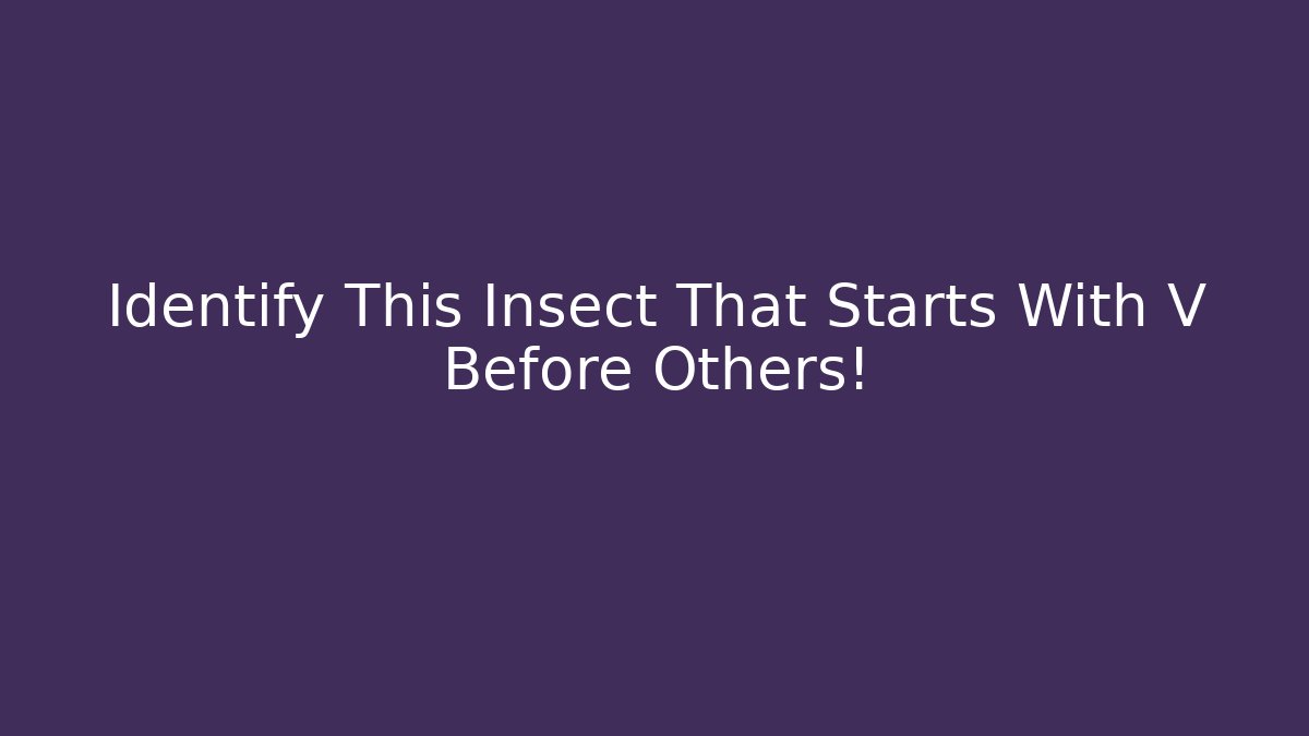 Identify This Insect That Starts With V Before Others!