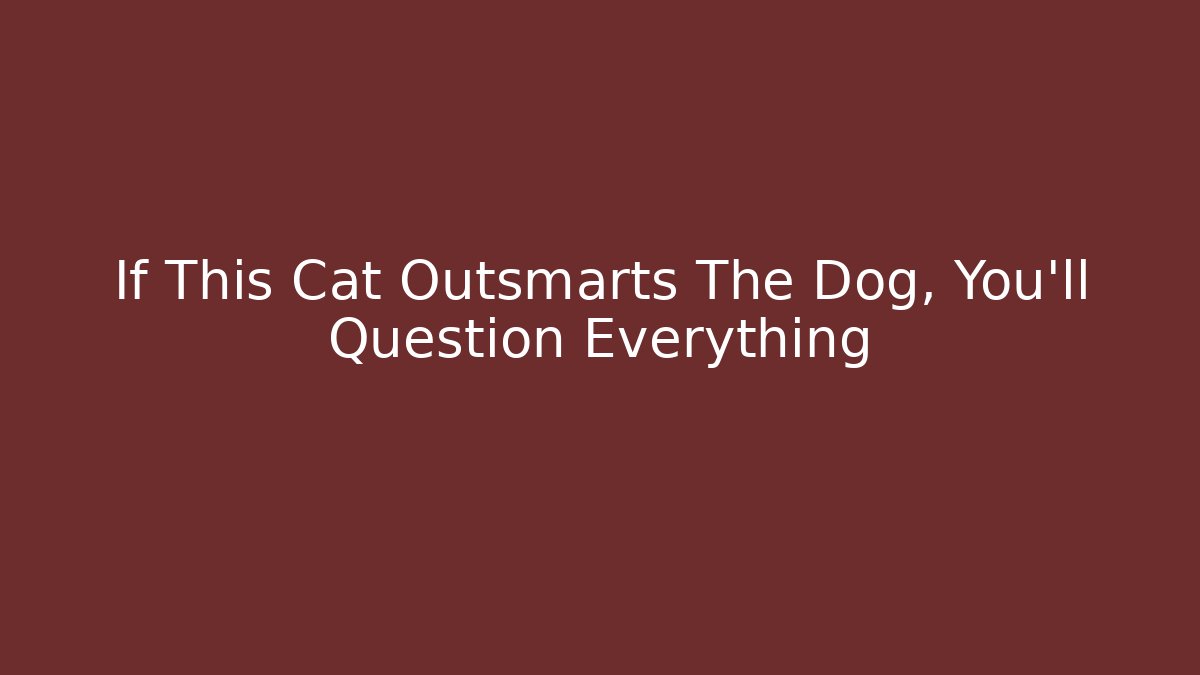 If This Cat Outsmarts The Dog, You'll Question Everything