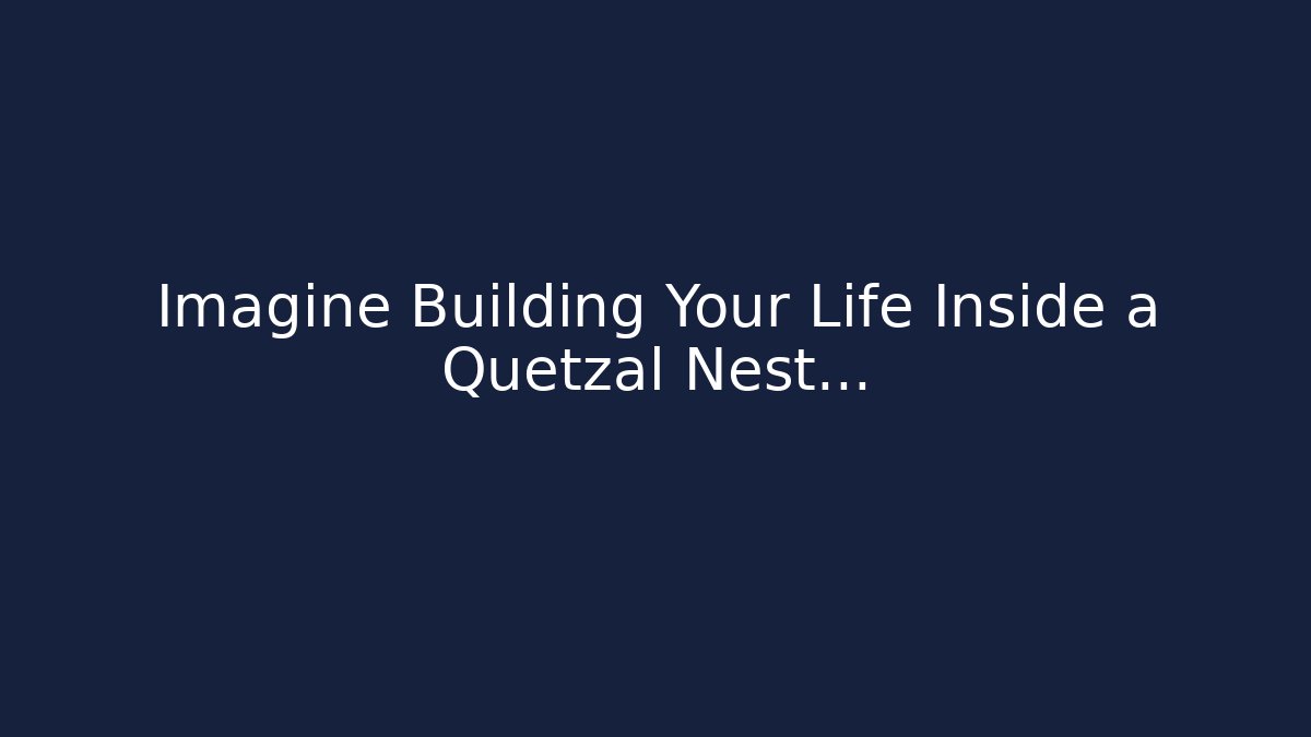 Imagine Building Your Life Inside a Quetzal Nest…