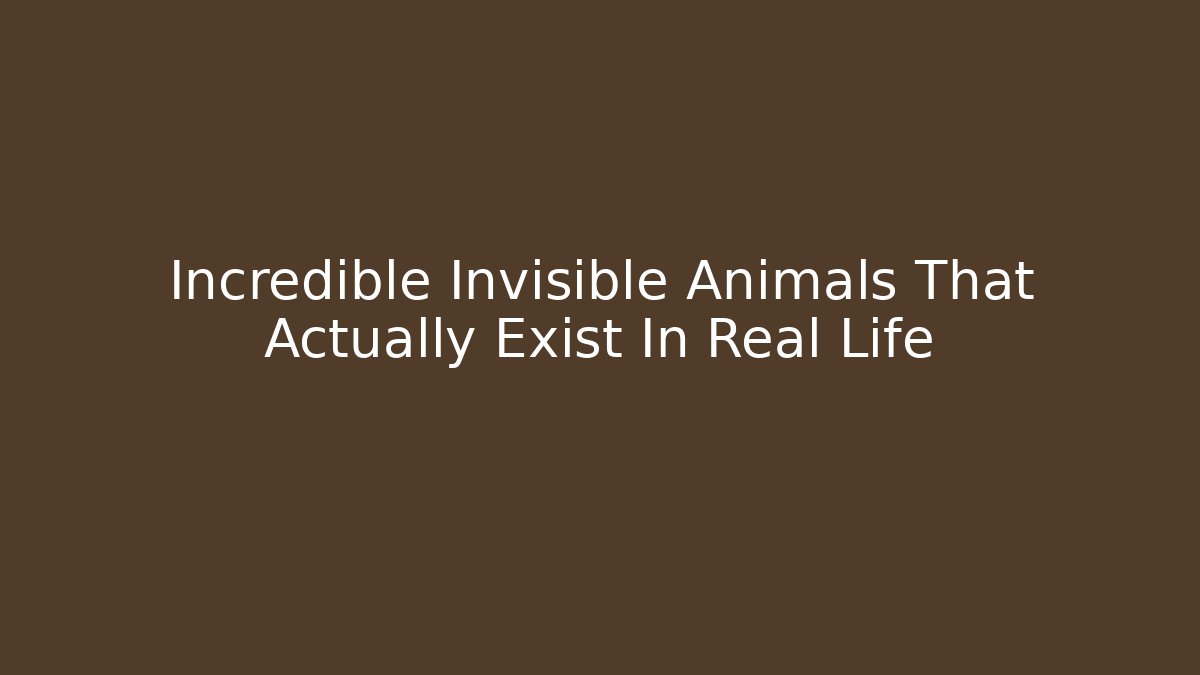 Incredible Invisible Animals That Actually Exist In Real Life