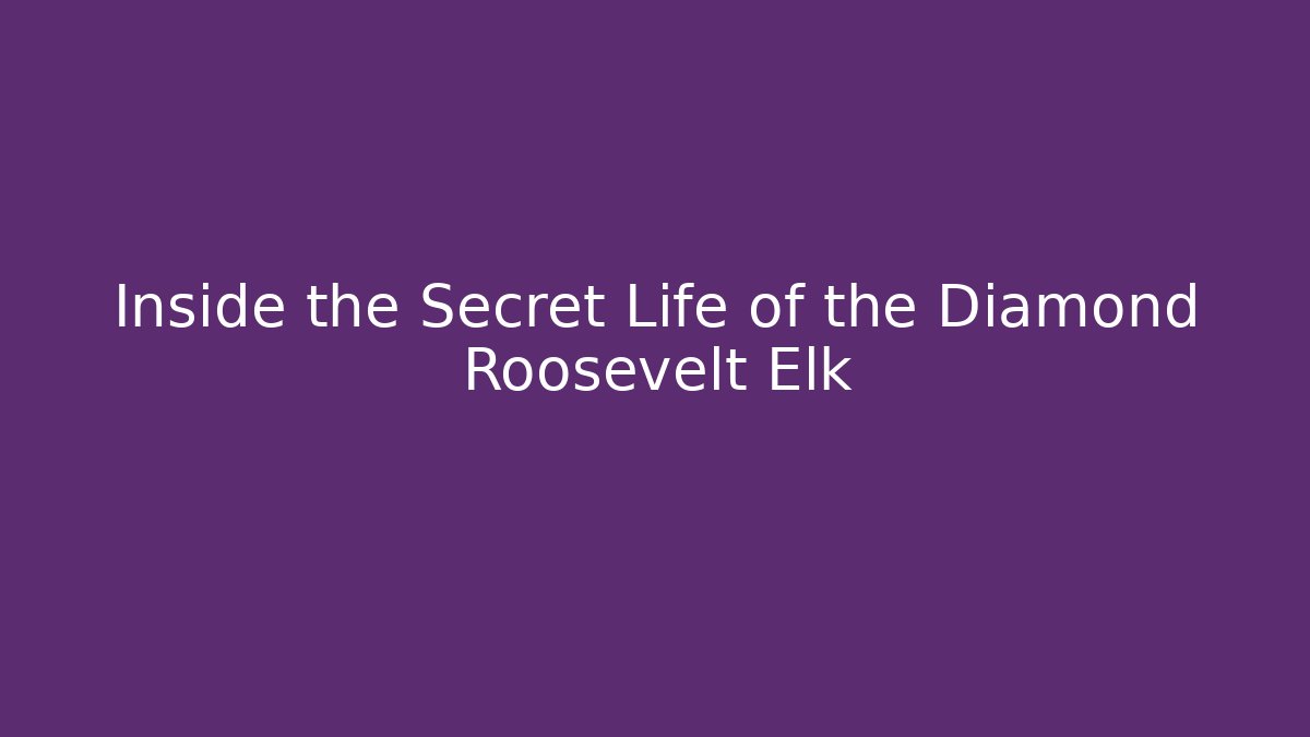 Inside the Secret Life of the Diamond Roosevelt Elk