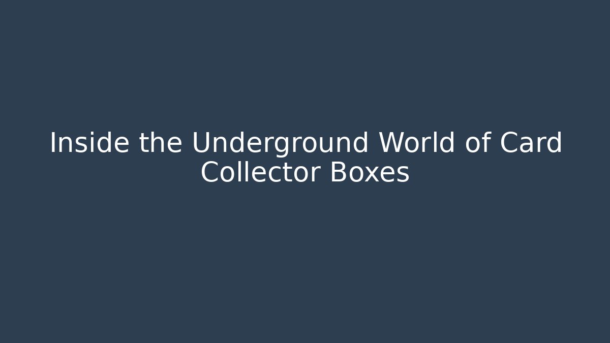 Inside the Underground World of Card Collector Boxes