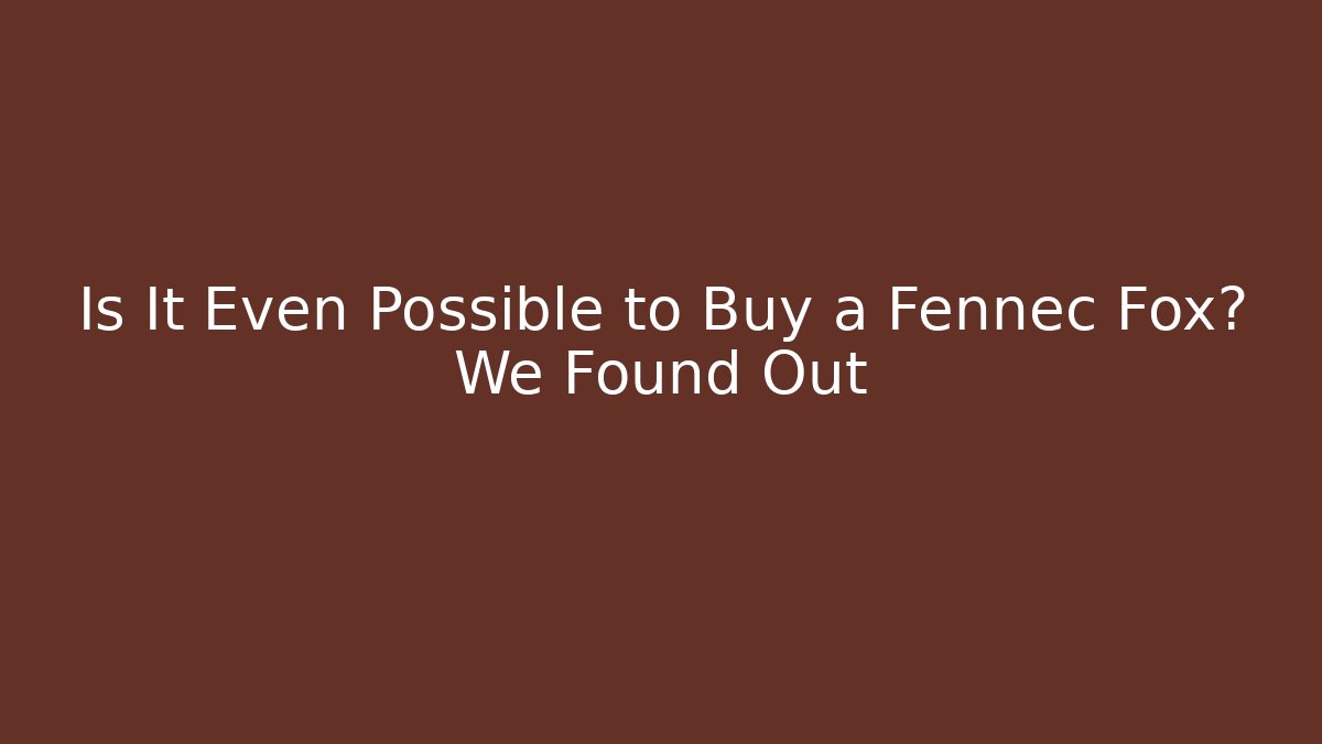 Is It Even Possible to Buy a Fennec Fox? We Found Out
