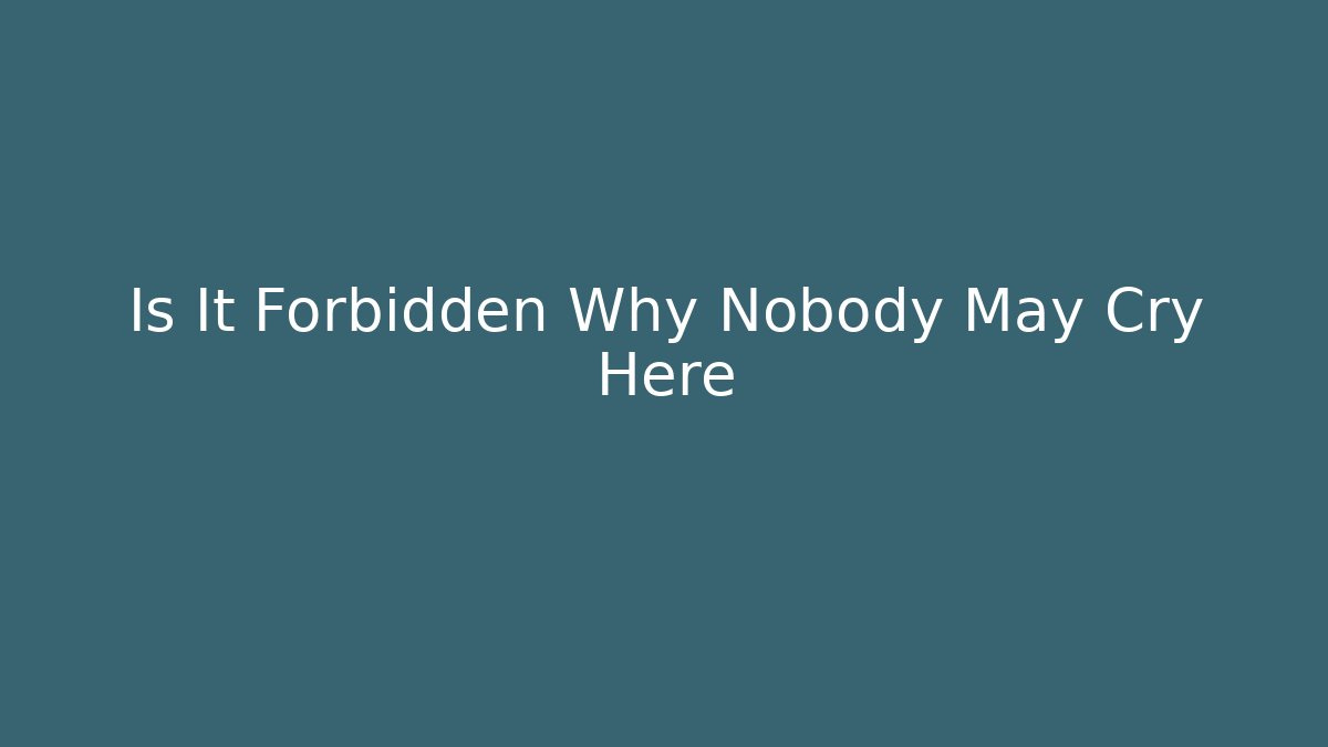 Is It Forbidden Why Nobody May Cry Here