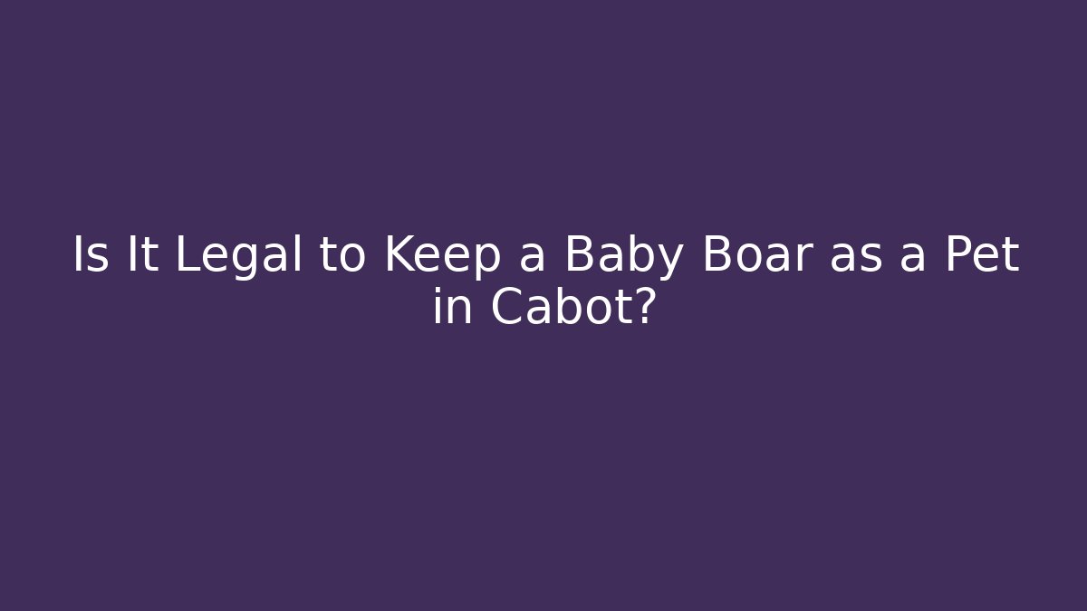 Is It Legal to Keep a Baby Boar as a Pet in Cabot?
