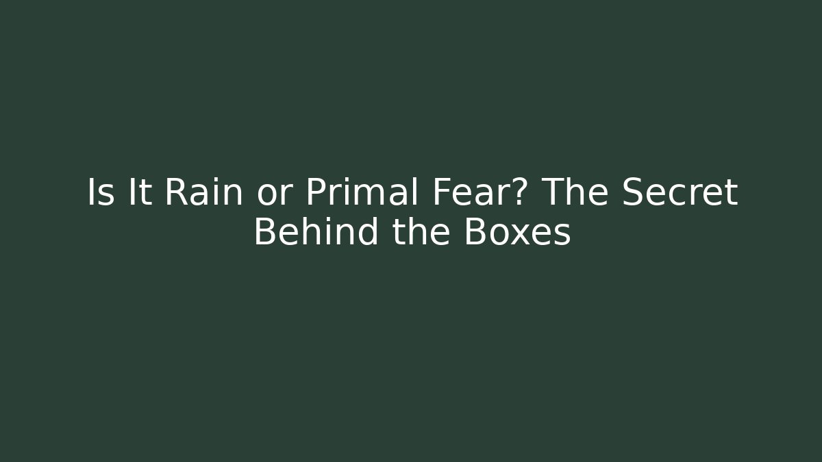 Is It Rain or Primal Fear? The Secret Behind the Boxes