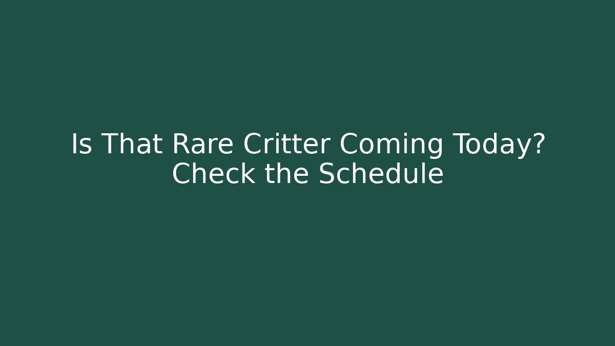 Is That Rare Critter Coming Today? Check the Schedule