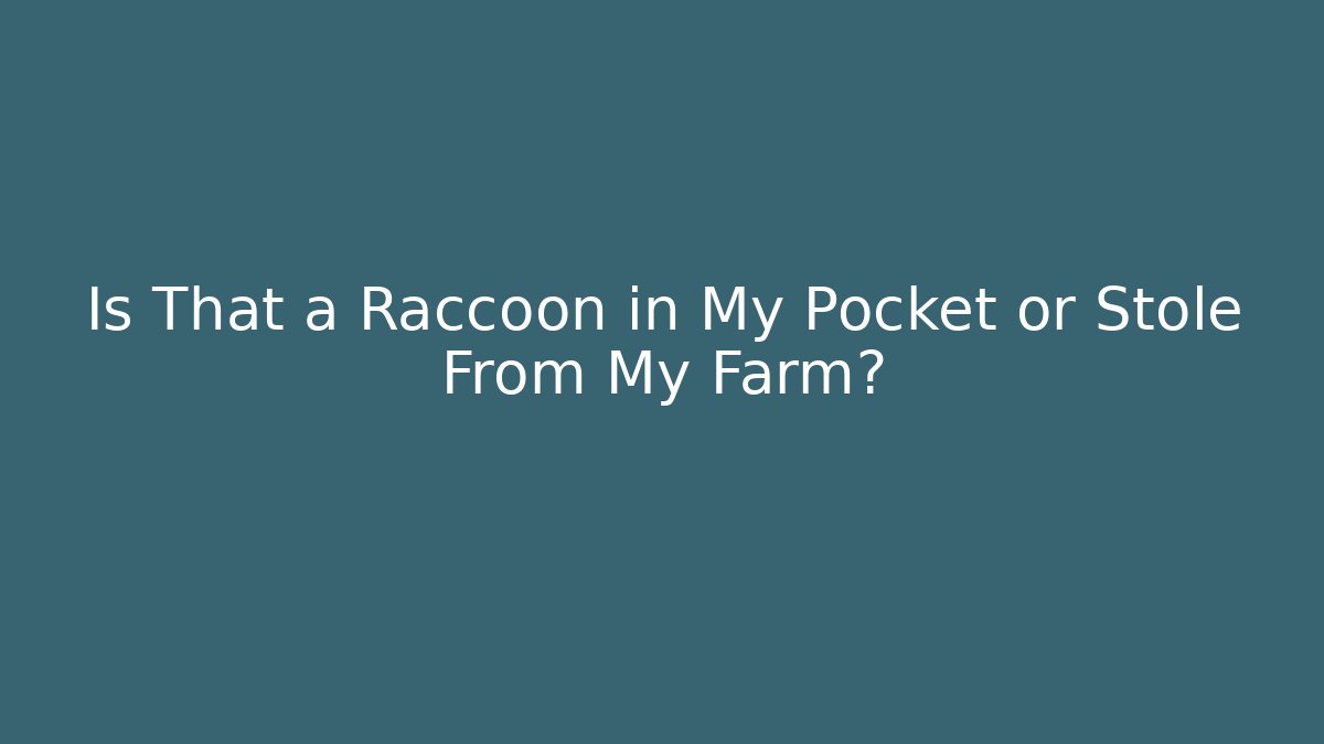 Is That a Raccoon in My Pocket or Stole From My Farm?