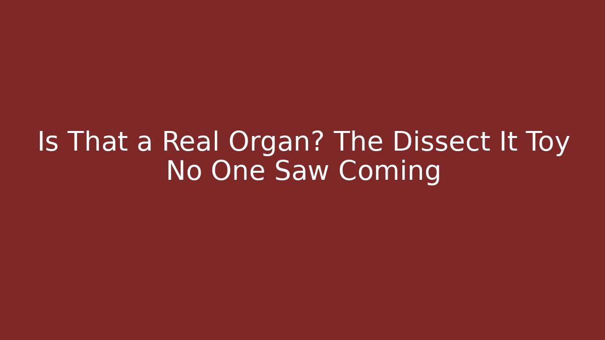 Is That a Real Organ? The Dissect It Toy No One Saw Coming