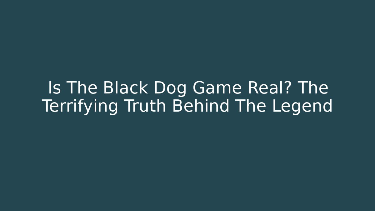 Is The Black Dog Game Real? The Terrifying Truth Behind The Legend