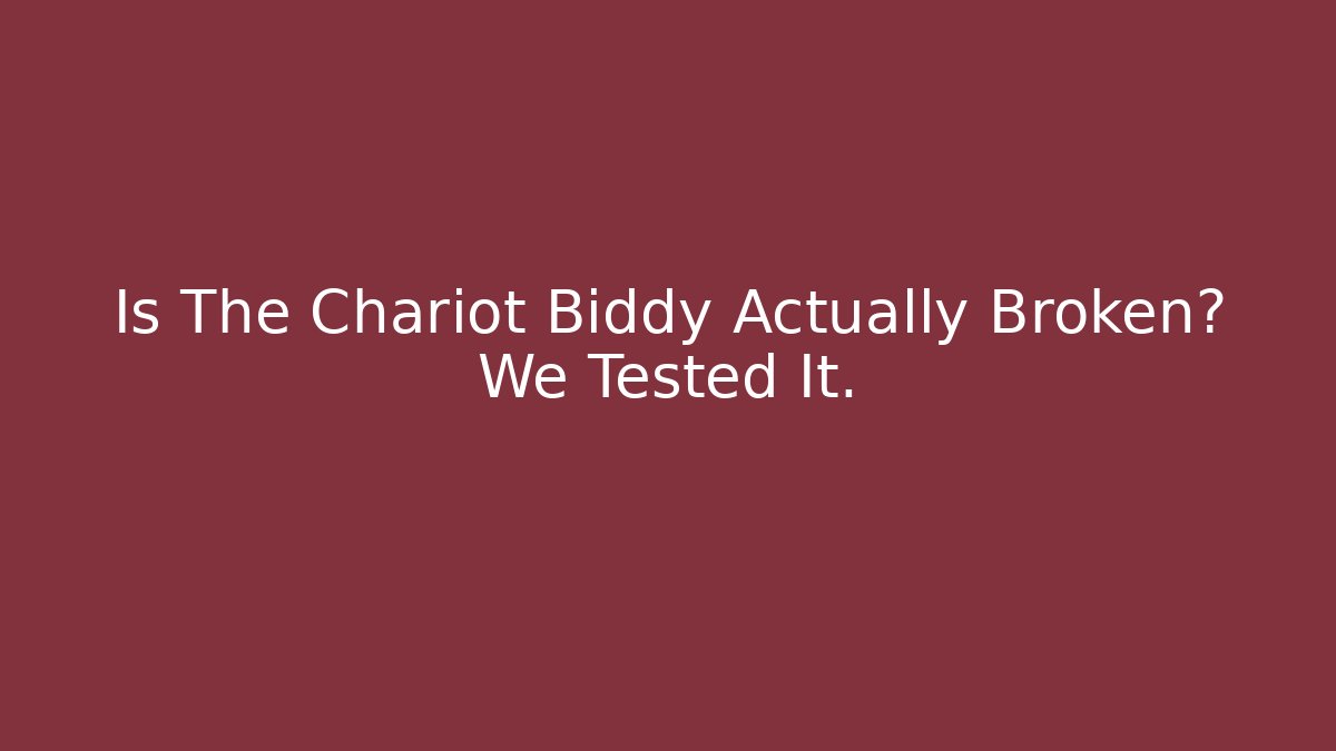 Is The Chariot Biddy Actually Broken? We Tested It.