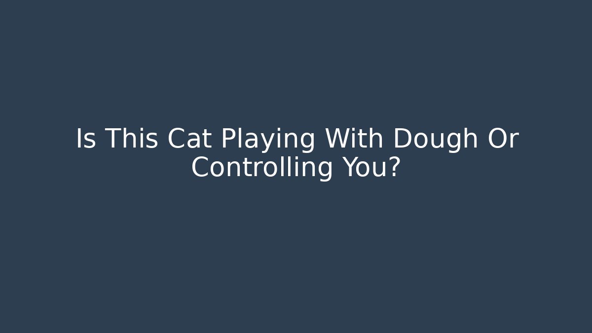 Is This Cat Playing With Dough Or Controlling You?