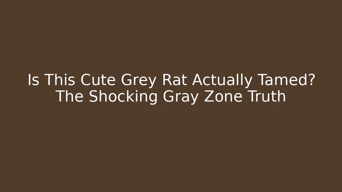 Is This Cute Grey Rat Actually Tamed? The Shocking Gray Zone Truth