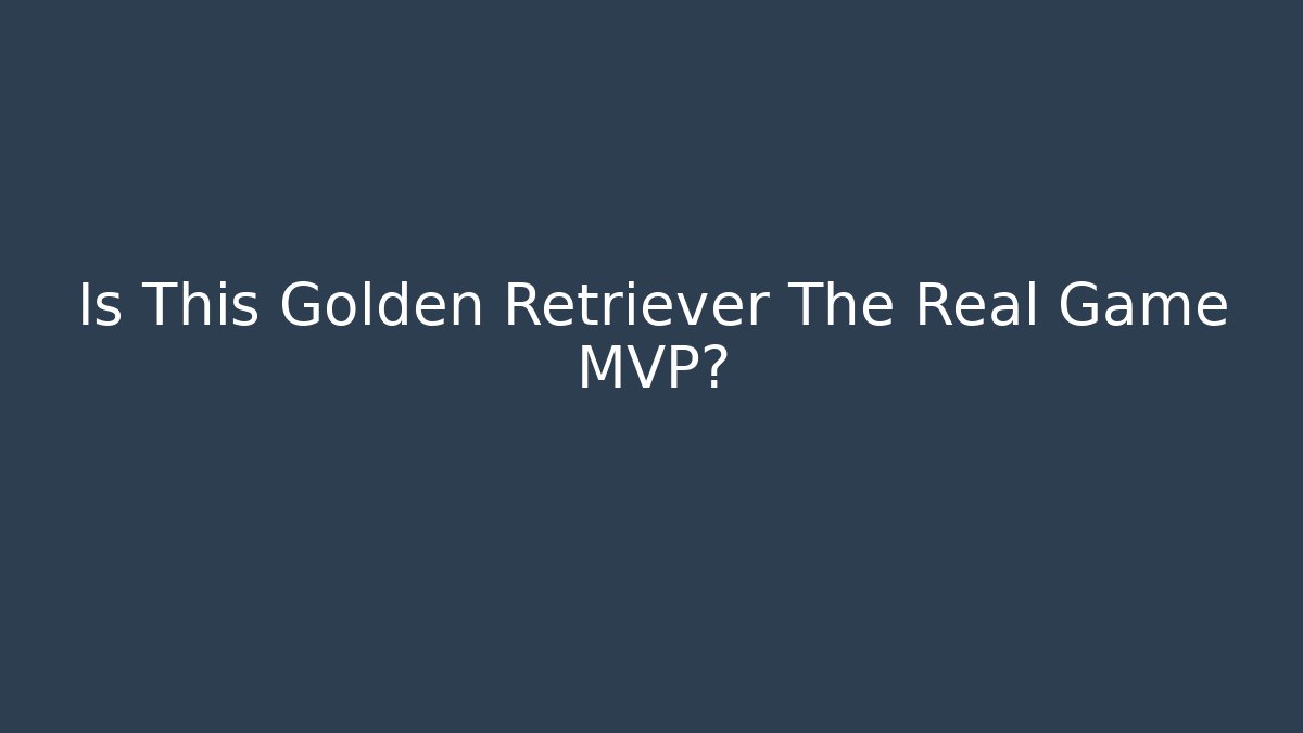 Is This Golden Retriever The Real Game MVP?
