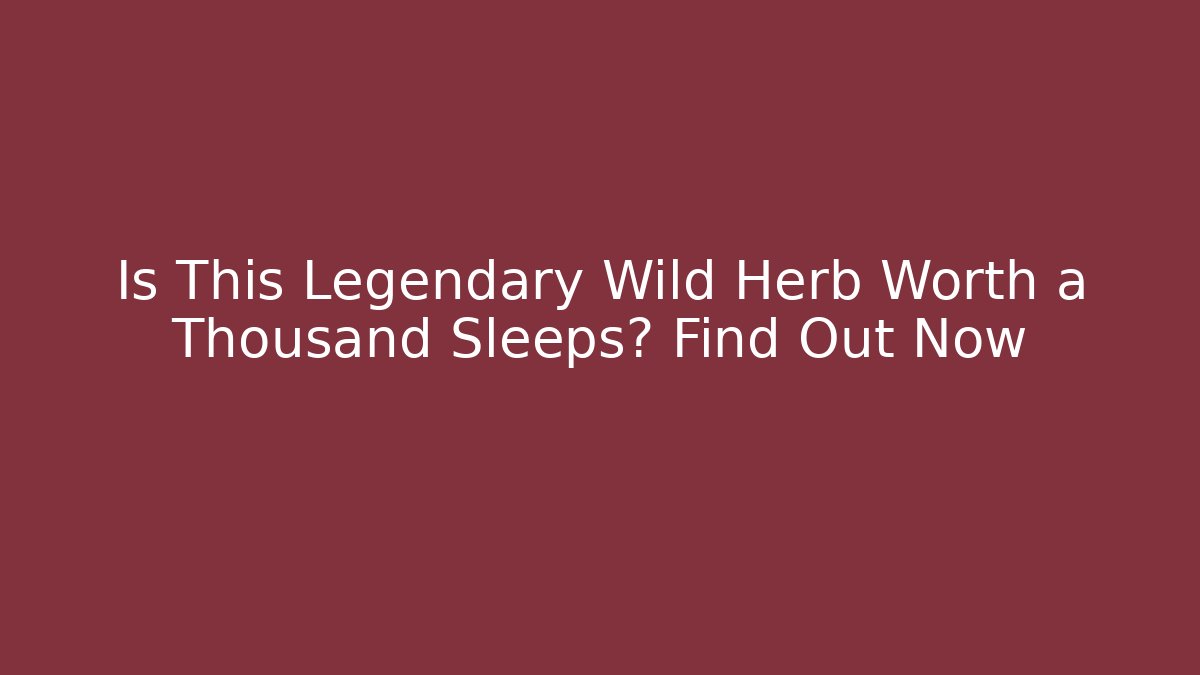 Is This Legendary Wild Herb Worth a Thousand Sleeps? Find Out Now - Critter Realm