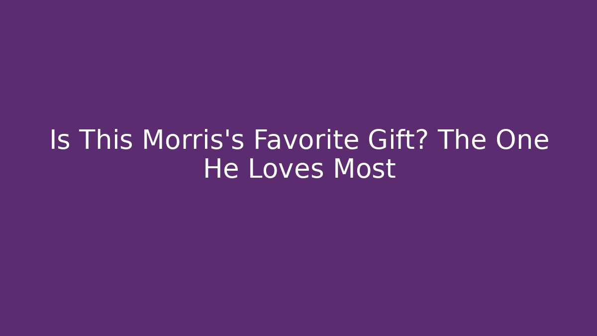Is This Morris's Favorite Gift? The One He Loves Most