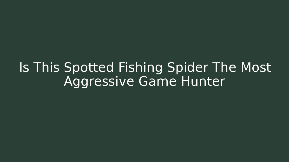Is This Spotted Fishing Spider The Most Aggressive Game Hunter