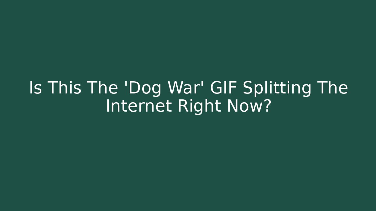 Is This The 'Dog War' GIF Splitting The Internet Right Now?