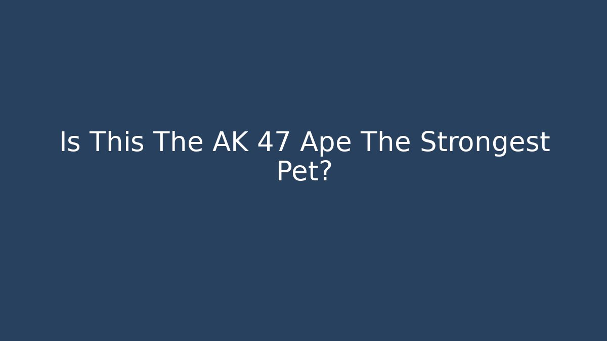 Is This The AK 47 Ape The Strongest Pet?