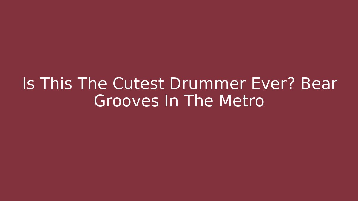 Is This The Cutest Drummer Ever? Bear Grooves In The Metro