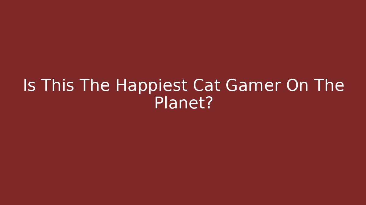Is This The Happiest Cat Gamer On The Planet?