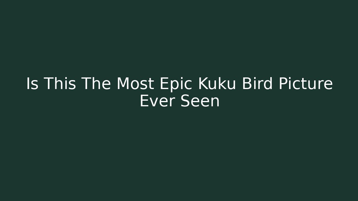 Is This The Most Epic Kuku Bird Picture Ever Seen