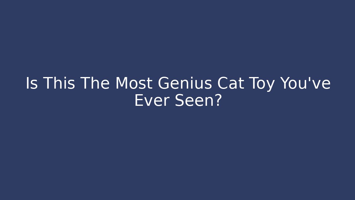 Is This The Most Genius Cat Toy You've Ever Seen?