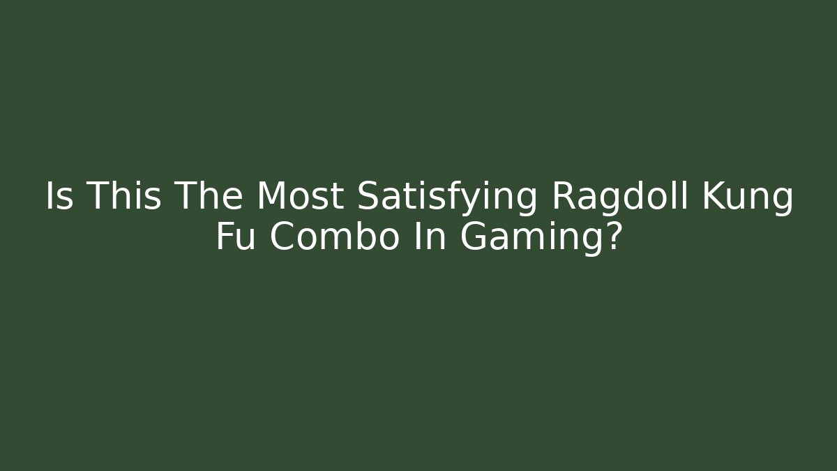 Is This The Most Satisfying Ragdoll Kung Fu Combo In Gaming?