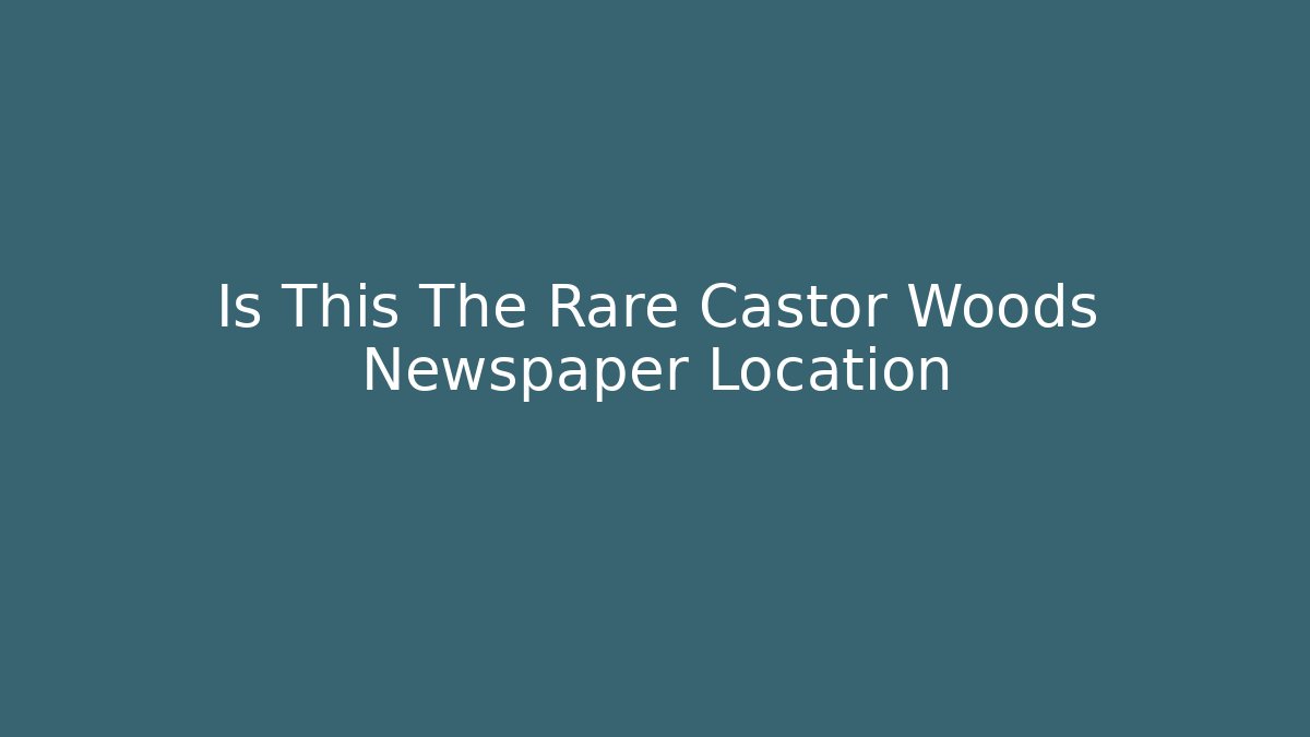 Is This The Rare Castor Woods Newspaper Location