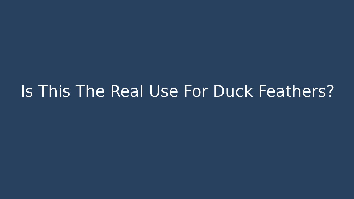 Is This The Real Use For Duck Feathers?