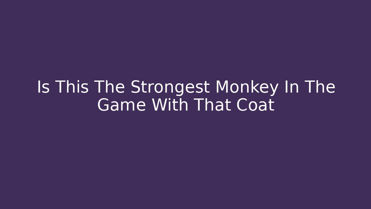 Is This The Strongest Monkey In The Game With That Coat