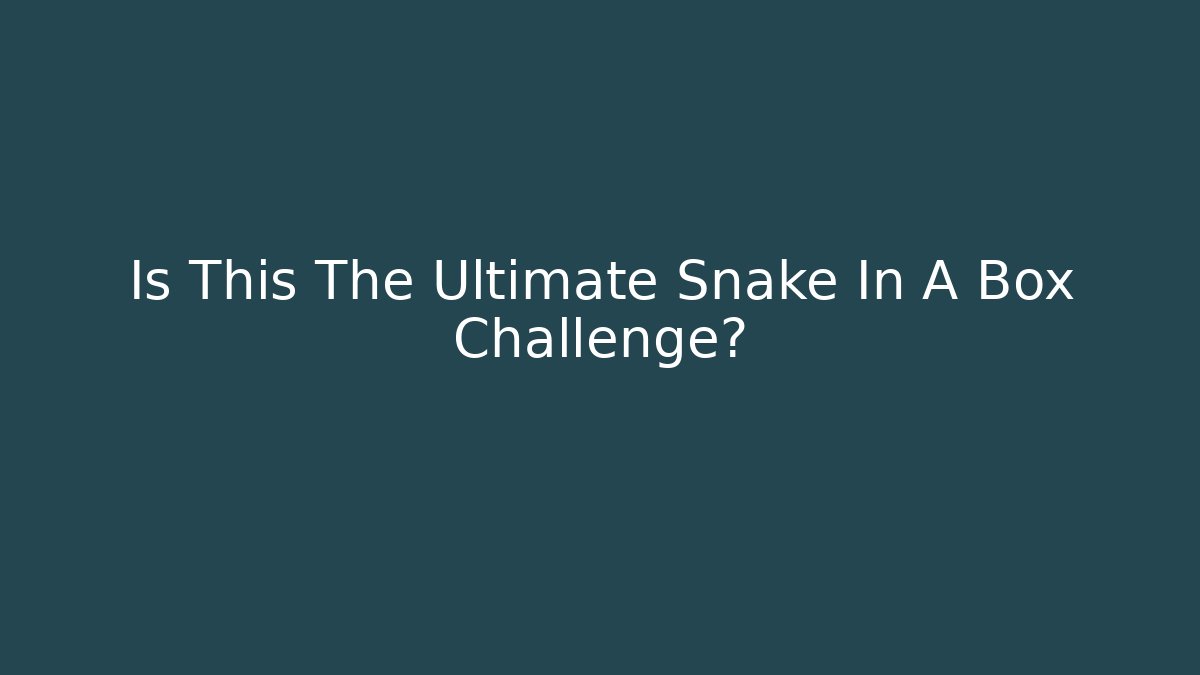 Is This The Ultimate Snake In A Box Challenge?